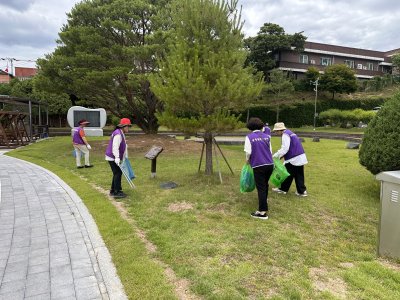 홍천군청 주변 환경정화 활동