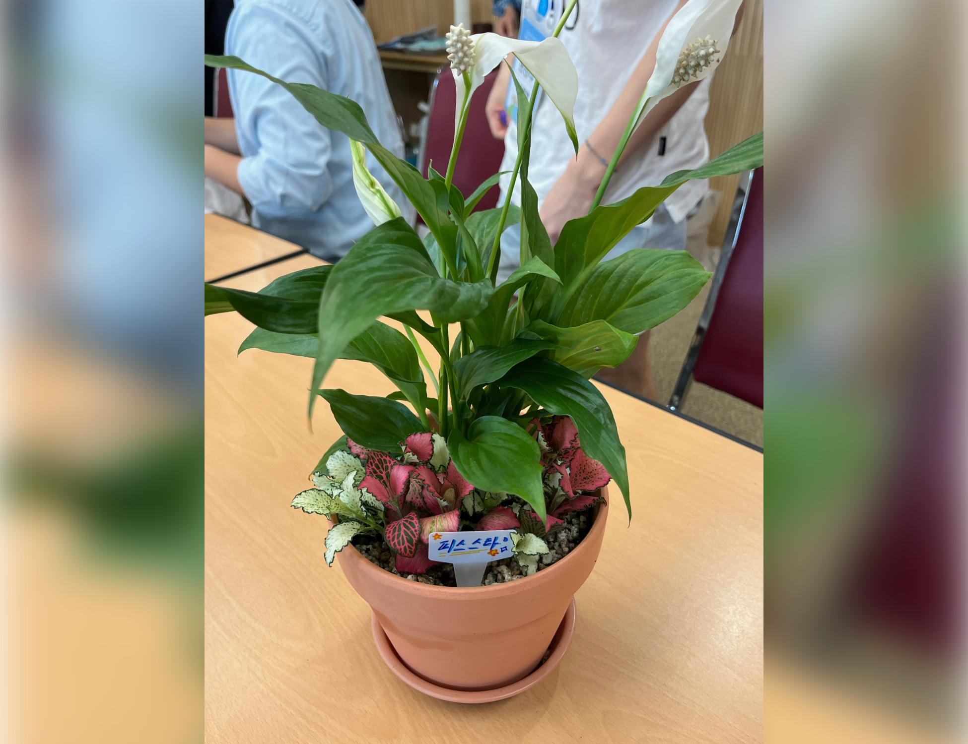 제목을 입력하세요 (3).jpg