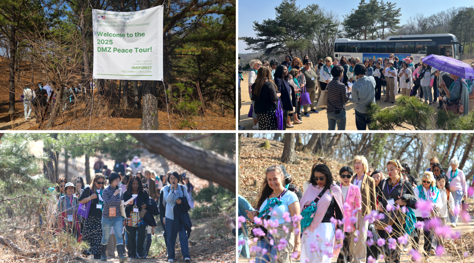 제목을 입력하세요 129.jpg