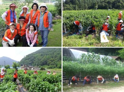 구호나눔 | [강원지부] 지역활동