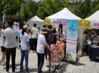 통일공감 마로니에 축제